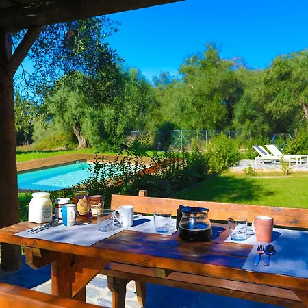 Jenny's House * Strongylí